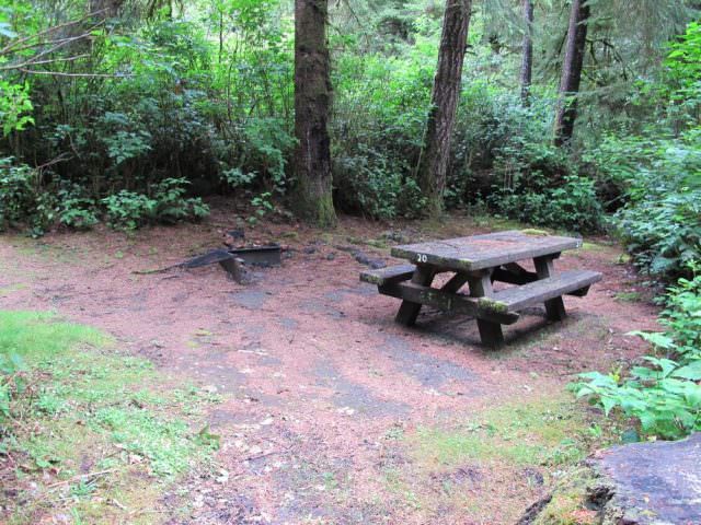 Tahkenitch Campground - 20