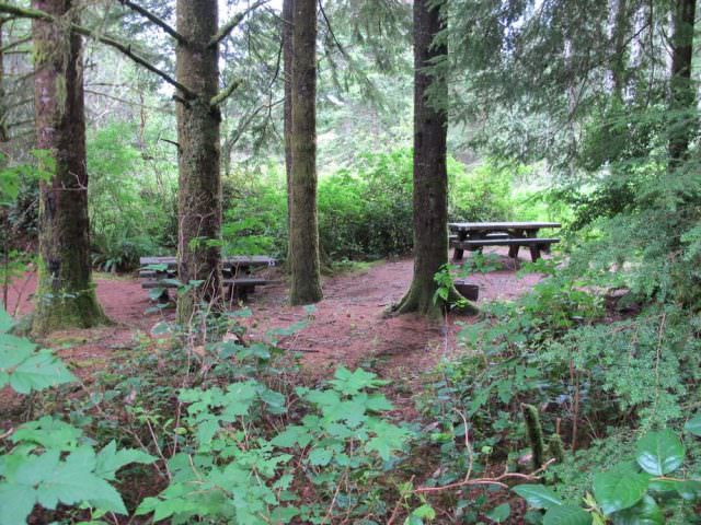 Tahkenitch Campground - 21 and 22