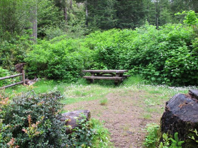 Tahkenitch Campground - 23