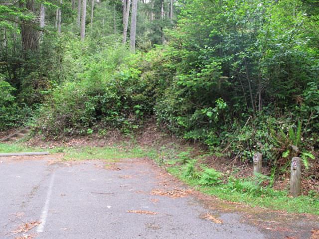 Tahkenitch Campground - 23 and 24