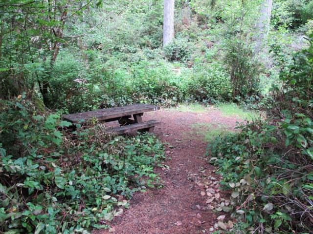 Tahkenitch Campground - 25