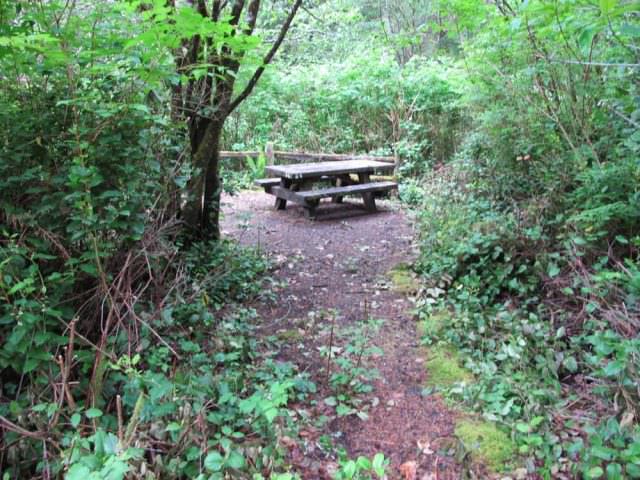 Tahkenitch Campground - 26