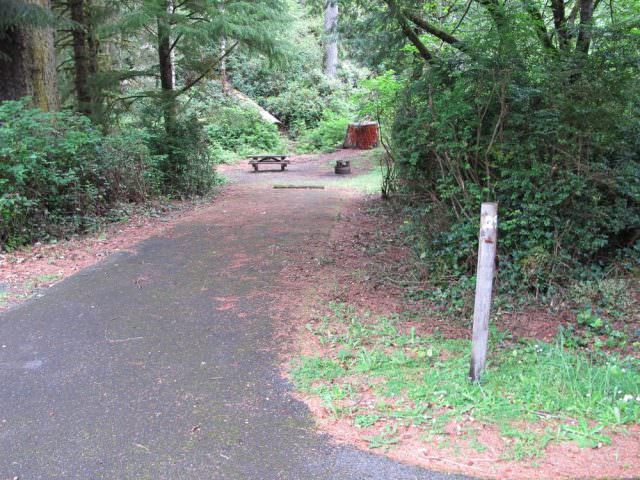 Tahkenitch Campground - 29