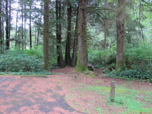 Tahkenitch Campground - 3