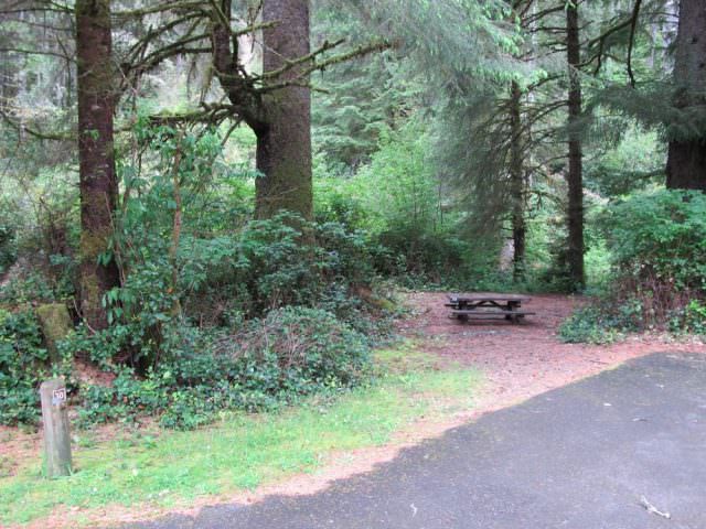 Tahkenitch Campground - 30