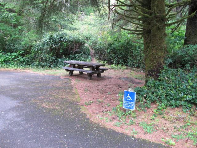 Tahkenitch Campground - 31