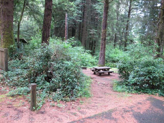 Tahkenitch Campground - 4