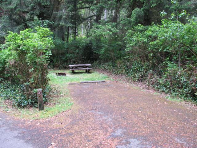 Tahkenitch Campground - 6