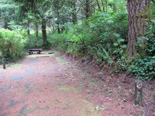 Tahkenitch Campground - 7