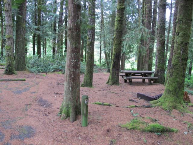 Tahkenitch Campground - 8