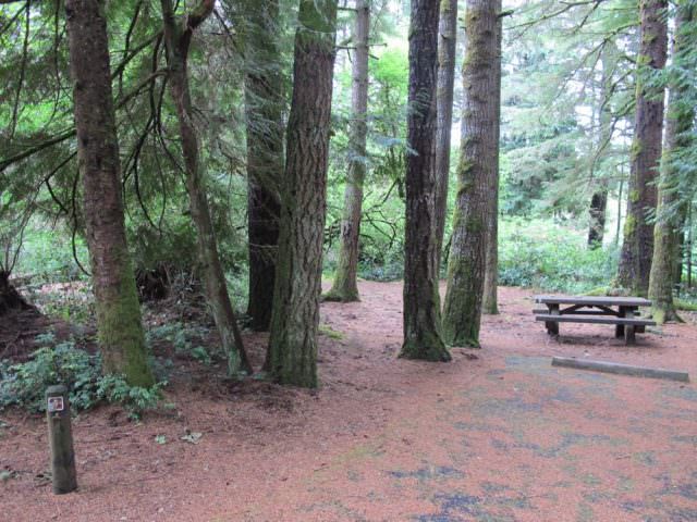 Tahkenitch Campground - 9