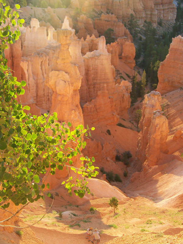 Read more about the article Why Would Anyone go to Bryce Canyon?