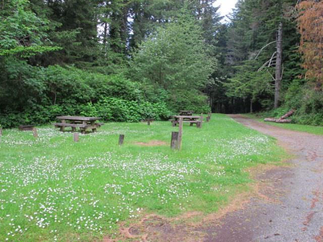 Tahkenitch Landing - In Campground
