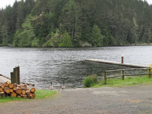 Tahkenitch Landing - Lake