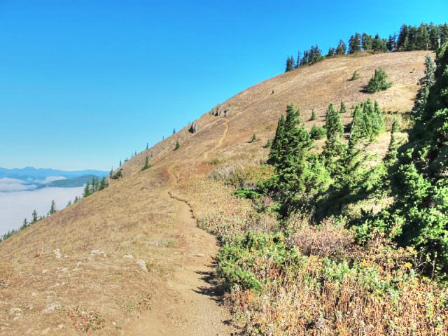 dog-mountain-trail-to-summit