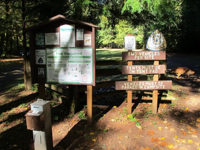 Governmnet Mineral Springs Info