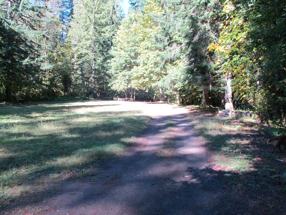 Government Mineral Springs Campground, The