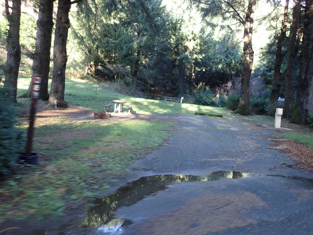 Humbug Mountain State Park Oregon Coast