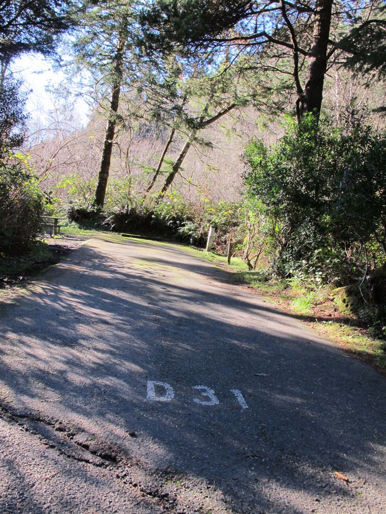 Sunset Bay State Park and Campground Coos Bay, Oregon