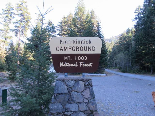 Read more about the article Kinnikinnick Campground (Laurence Lake) Closure
