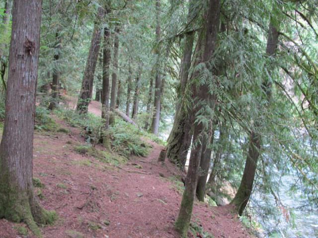 Lockaby Campground Riverside