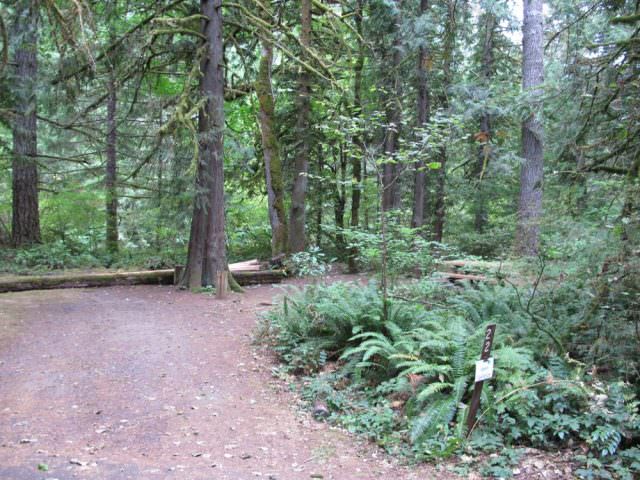 Lockaby Campground Site# 22