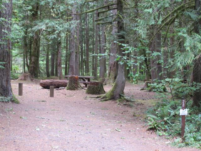 Lockaby Campground Site# 28