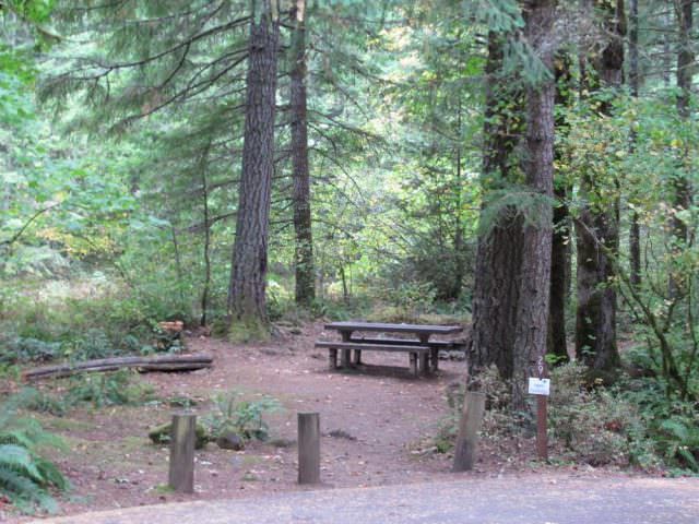 Lockaby Campground Site# 29