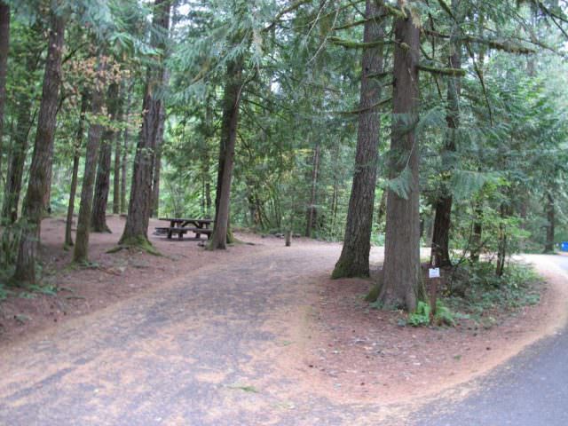 Lockaby Campground Site# 30