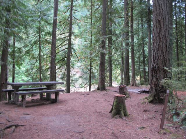 Lockaby Campground Site# 5