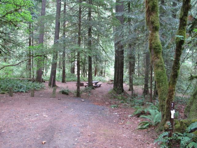 Lockaby Campground Site# 7