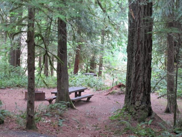 Lockaby Campground Site# 7 in site