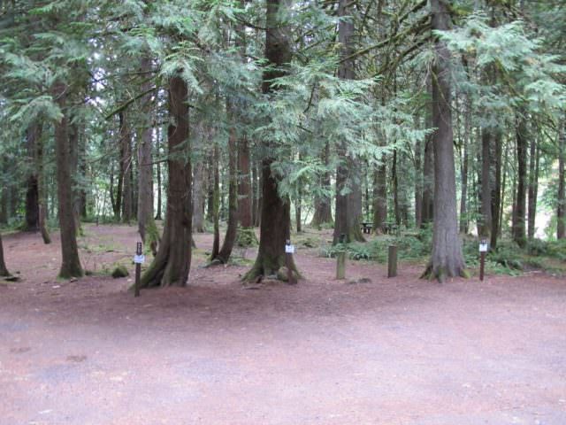 Lockaby Campground Sites 18, 19, 20