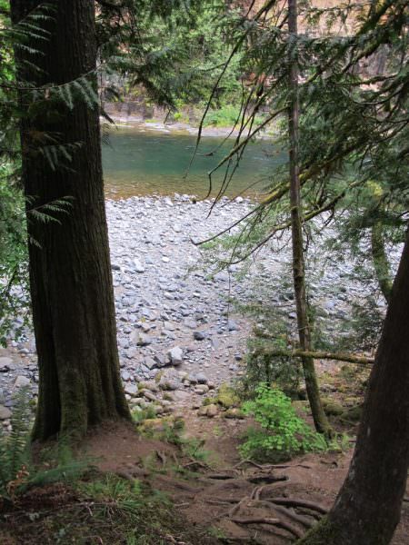 Lockaby Campground Trail down to river