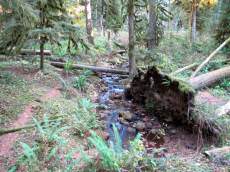 Camp Creek Campground