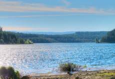 Clear Lake Campground Mt. Hood