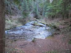 Still Creek Campground