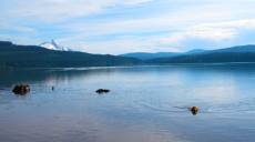 Timothy Lake Campground