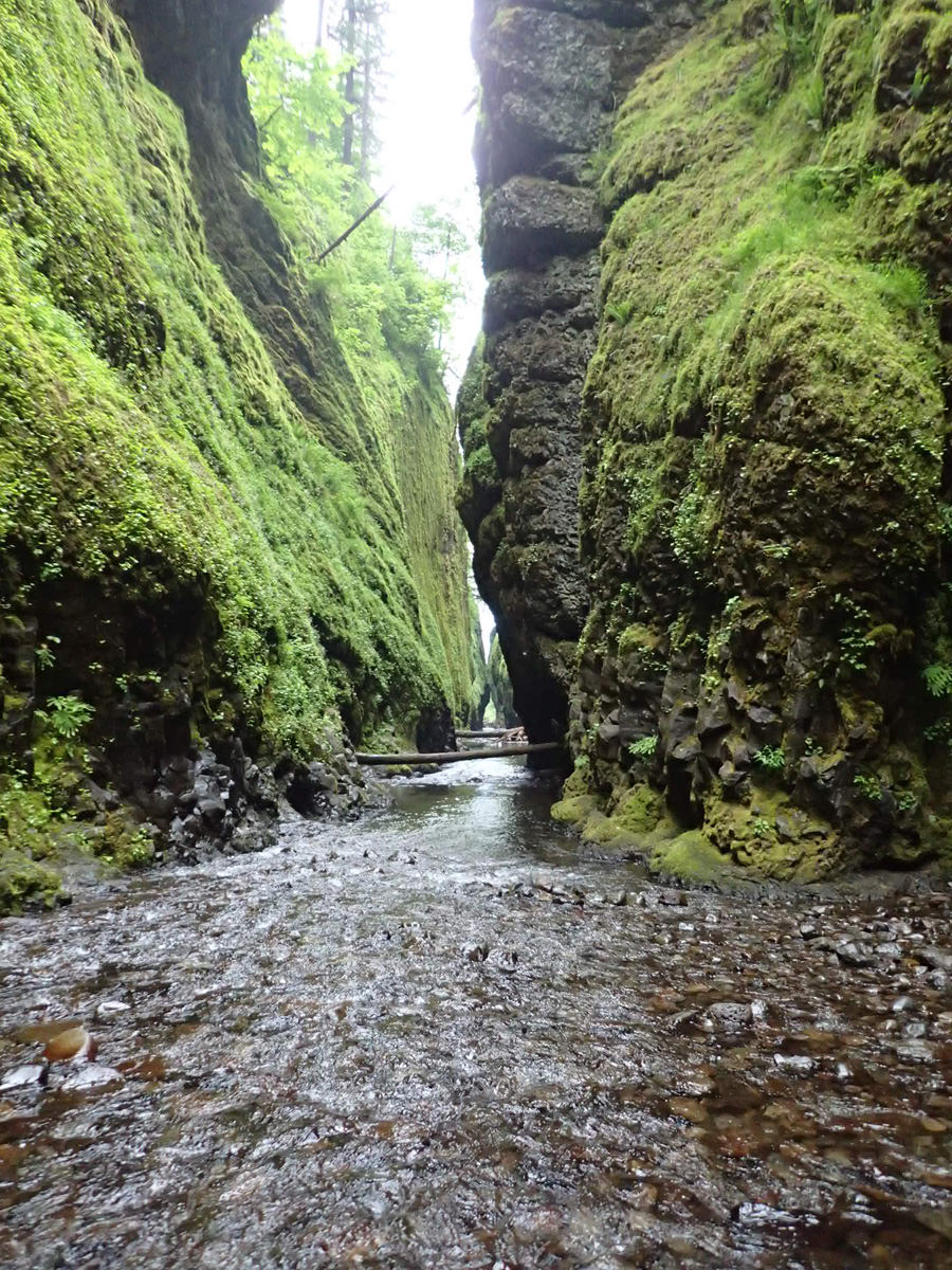 Oneonta Oregon Hiking up the Oneonta Creek