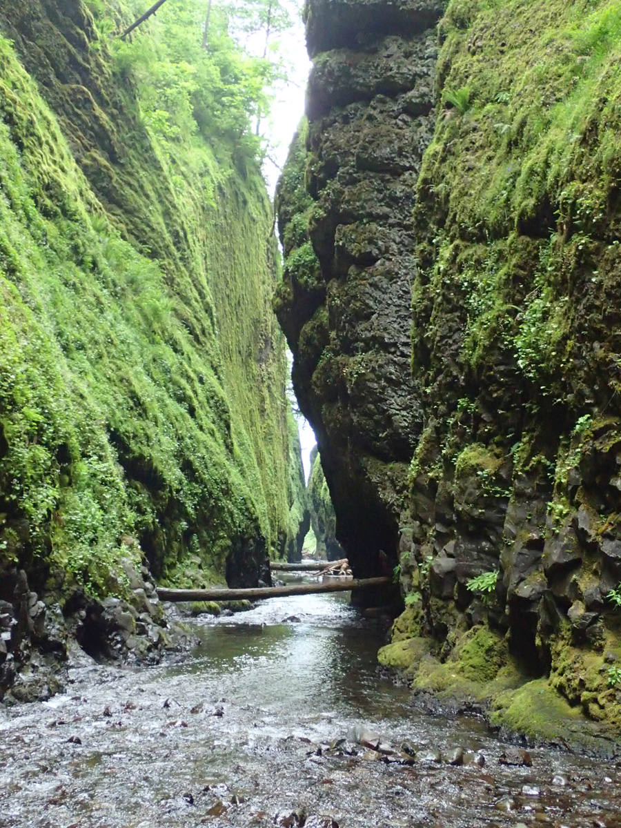 Oneonta Oregon Hiking up the Oneonta Creek