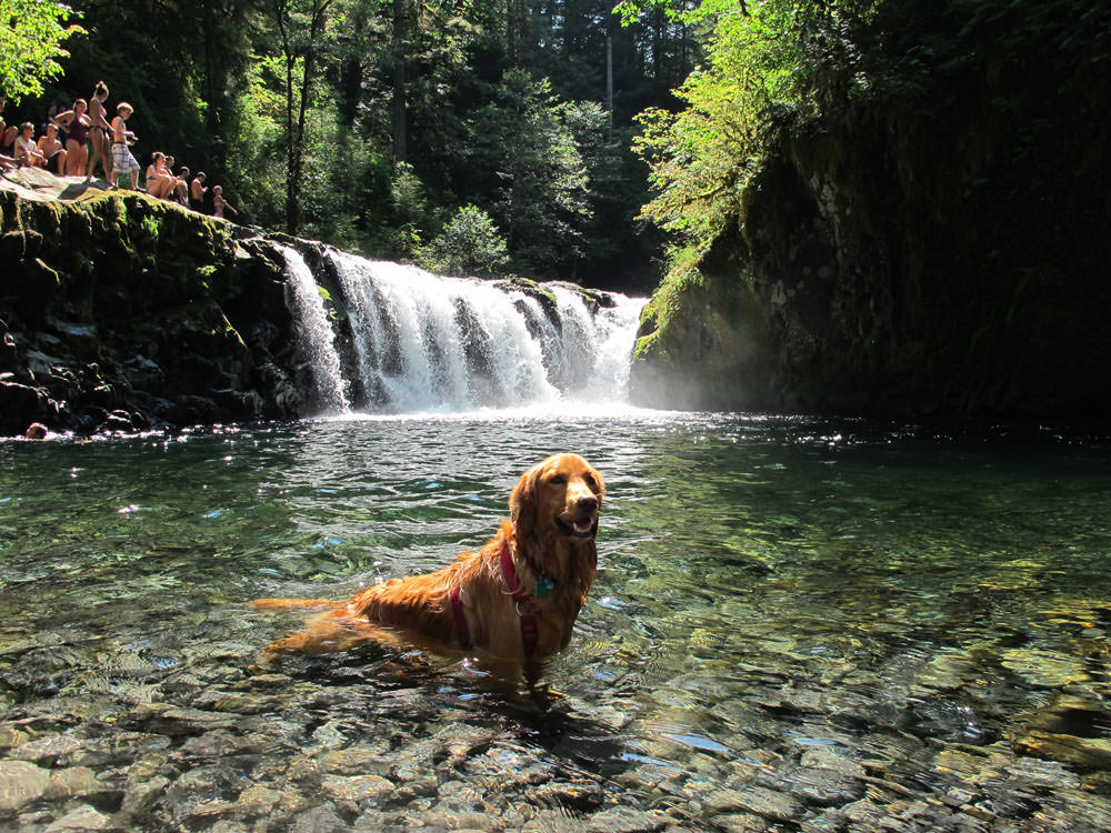 Lower Punch Bowl Falls Eagle Creek, Oregon