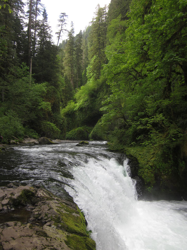 Lower Punch Bowl Falls Eagle Creek, Oregon