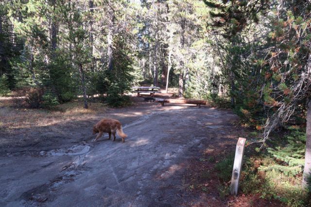 Killen Creek Site# 4