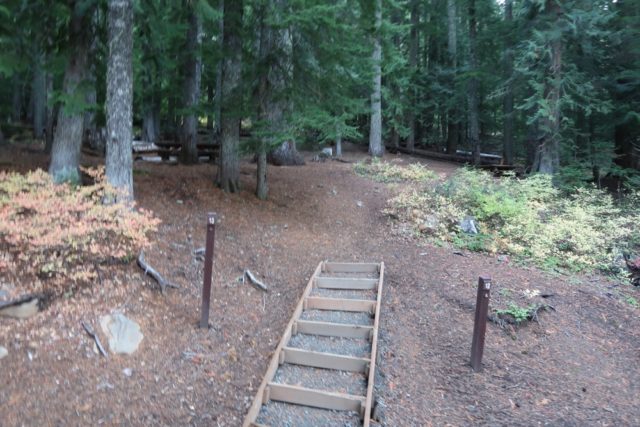 Goose Lake Site #12 and #13