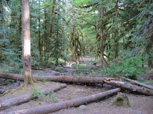 Creek through camp