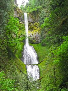 pup-creek-falls