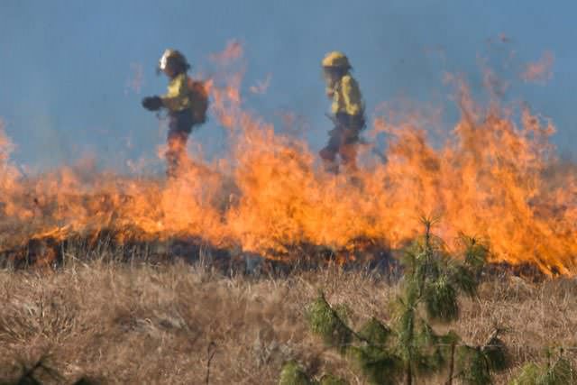 Read more about the article Wildfire Season is  Here