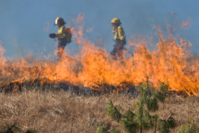 You are currently viewing Wildfire Season is  Here