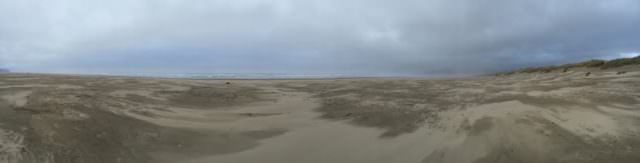 Beach Panoramic