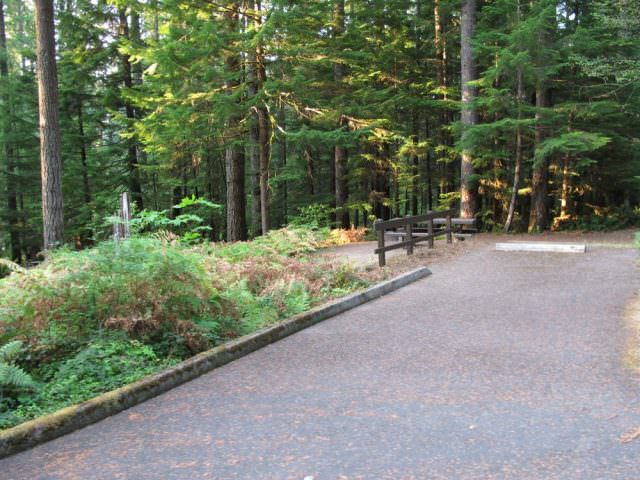 Cove Creek Campground Site